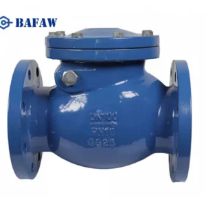 Non Return Valves