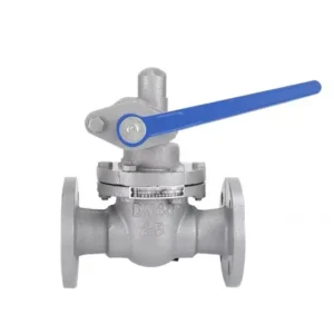Blow Down Valve